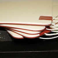 Silikoninės izoliacijos šildymo elementas